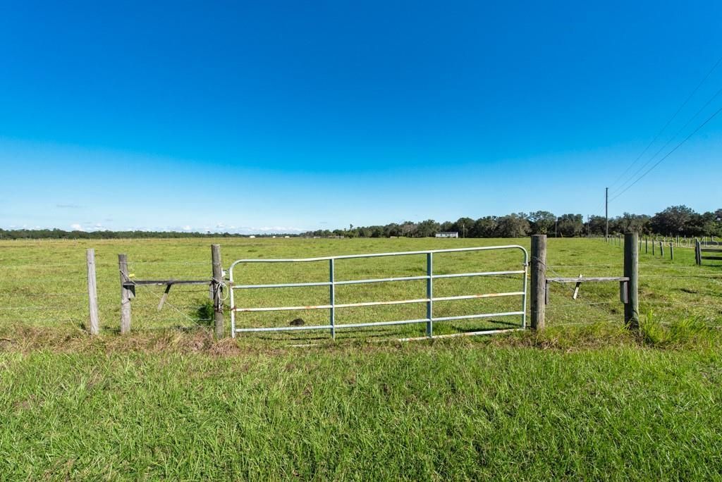 1915 Buffum Lake Trail, Fort Meade, FL 33841 Photo