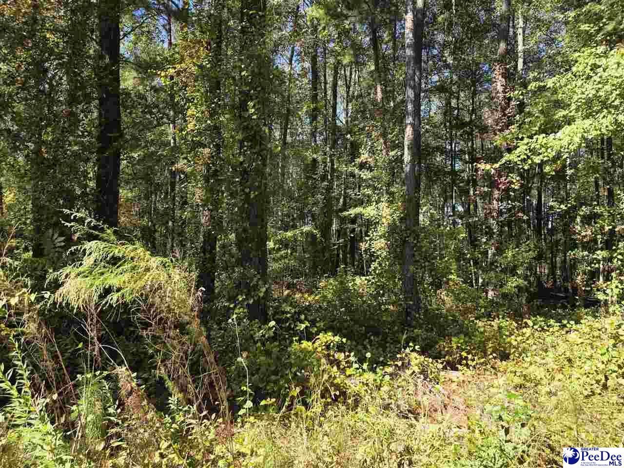 0000 Highway 265 Photo 1