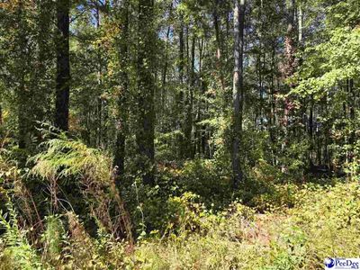 0000 Highway 265, Ruby, SC 29741