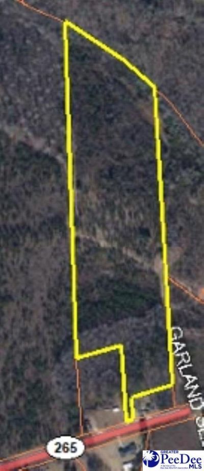 0000 Highway 265 Photo 10