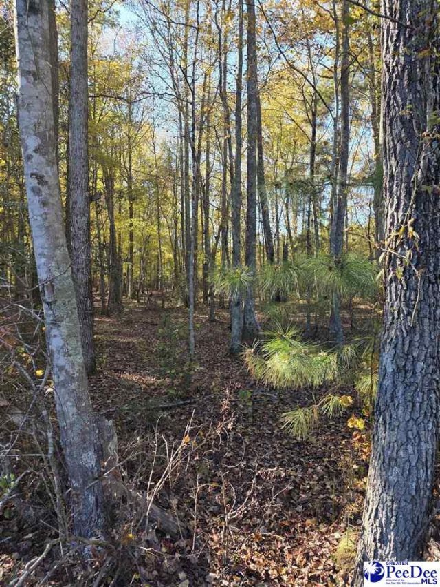 0000 Highway 265 Photo 3