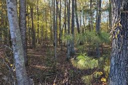 0000 Highway 265 photo 4