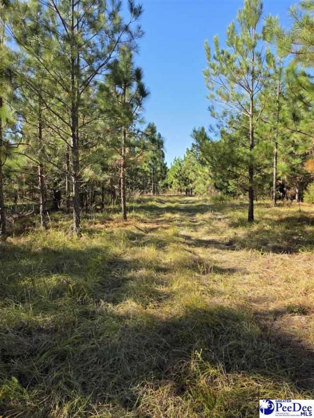 0000 Highway 265 Photo 4