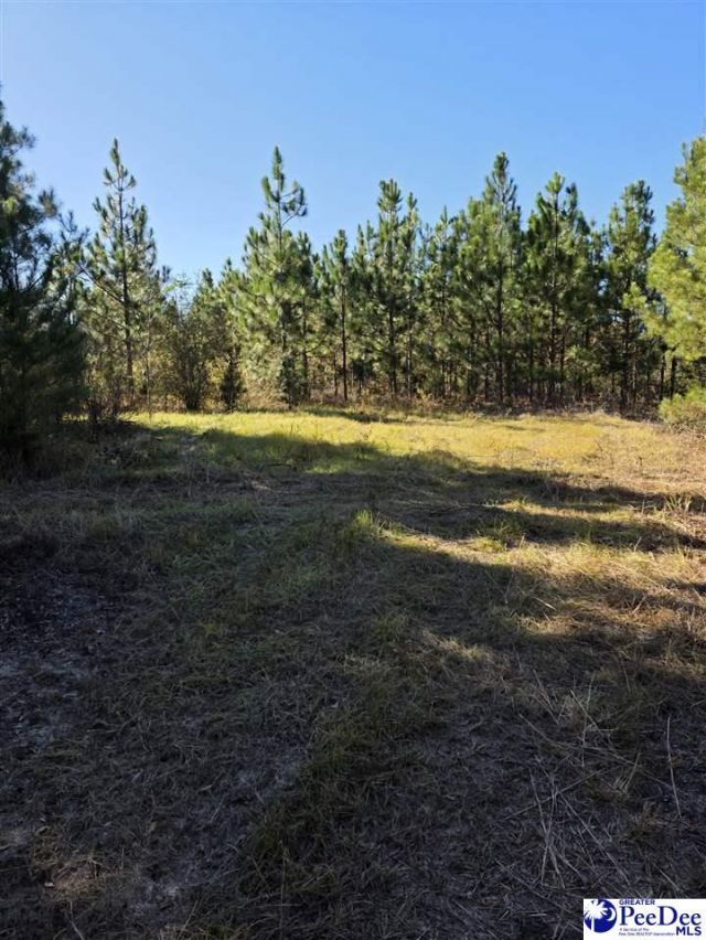 0000 Highway 265 Photo 5