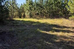 0000 Highway 265 photo 4