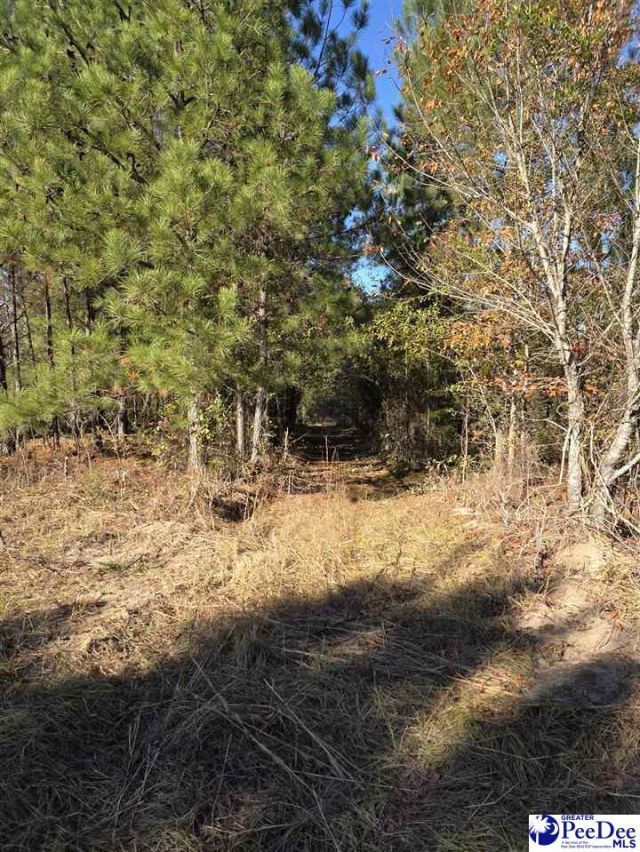 0000 Highway 265 Photo 6