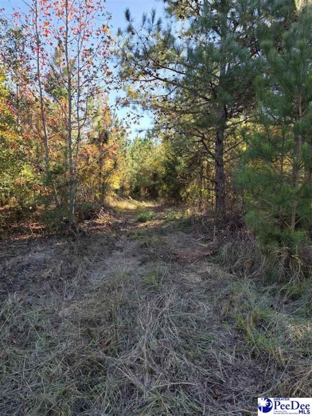 0000 Highway 265 Photo 7