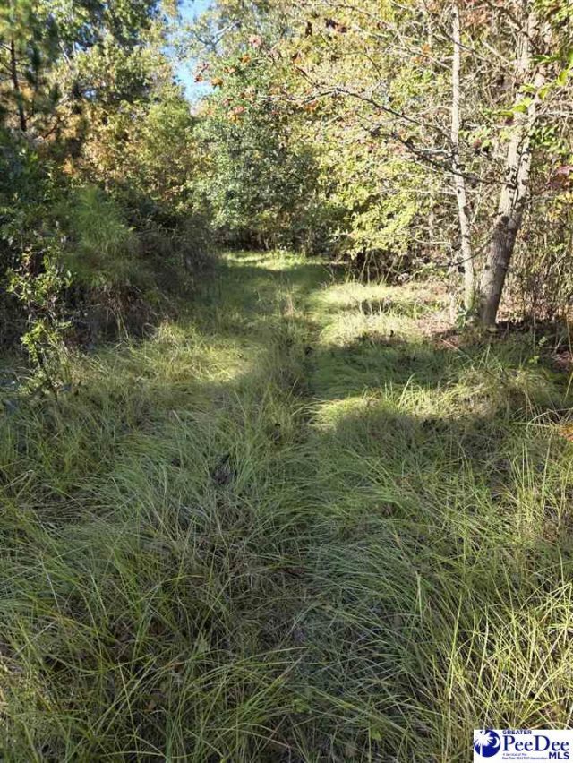 0000 Highway 265 Photo 8