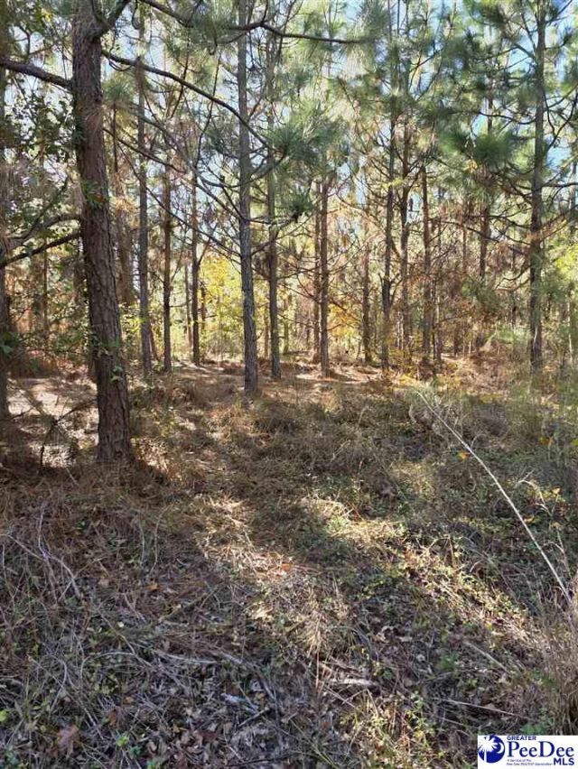 0000 Highway 265 Photo 9