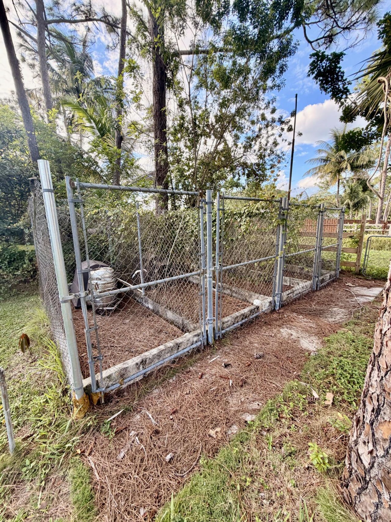 11031 Persimmon Boulevard, West Palm Beach, FL 33411 Photo