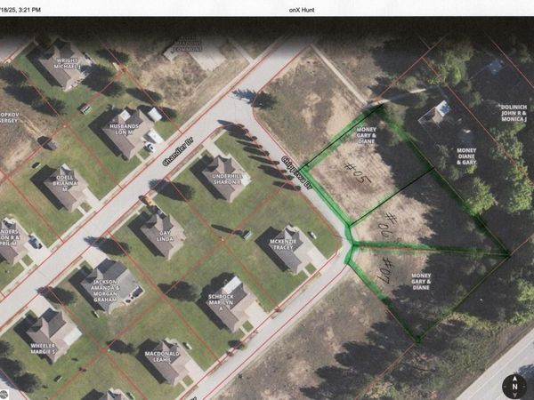 9534 Chippewa Drive, Mancelona, MI 49659