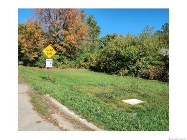 0 Lapeer rd., Burton, MI Lapeer Road, Burton, MI 48509
