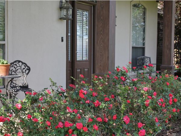 8788 Wyeth Dr, Denham Springs, LA 70706