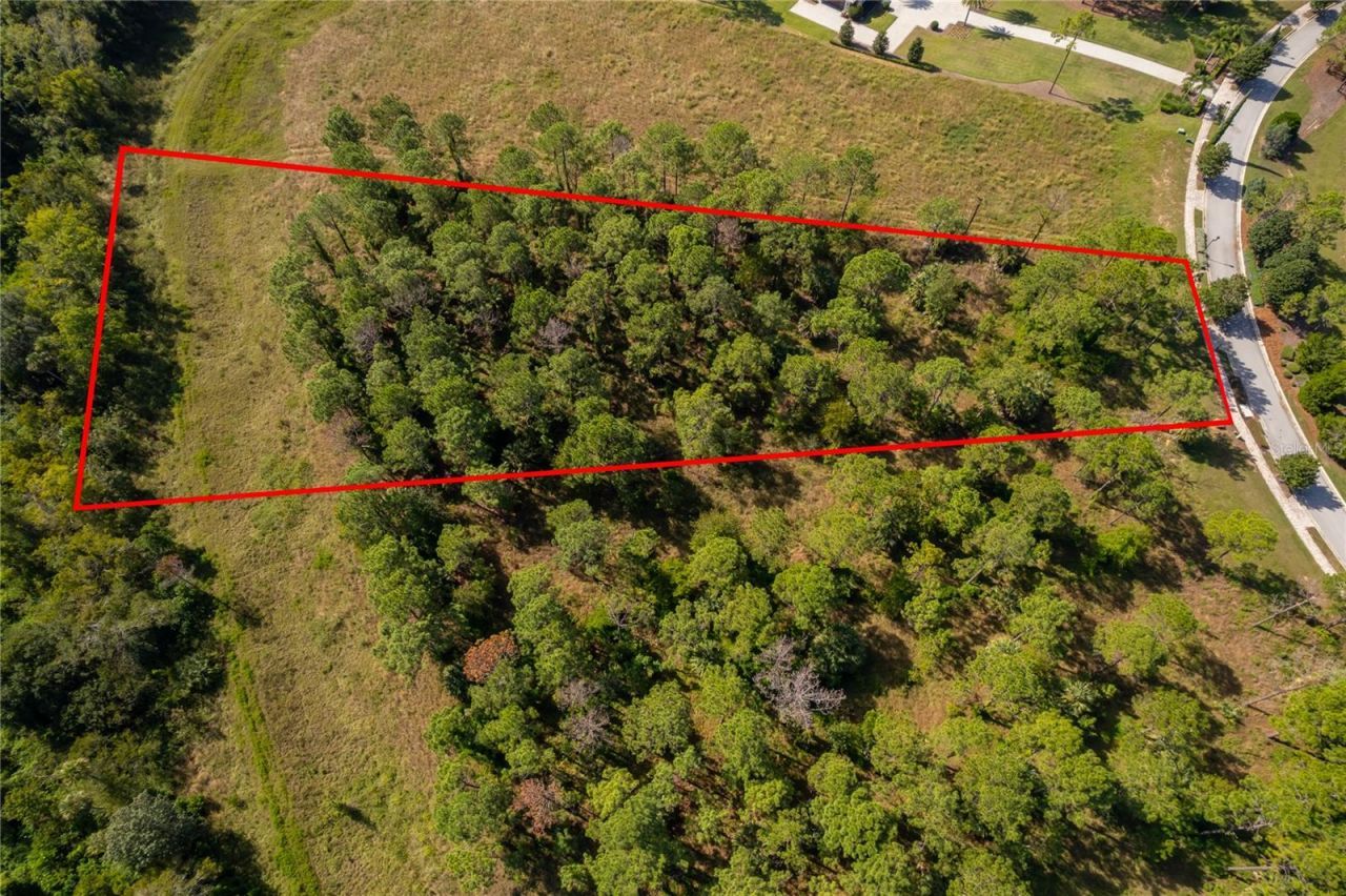 16842 Artimino Loop, Montverde, FL 34756 Photo