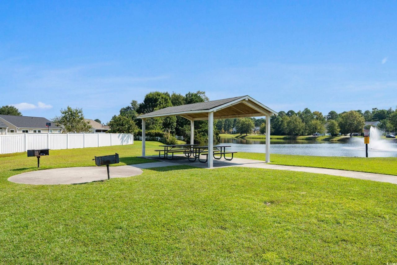 301 Black Willow Ct. Photo 38