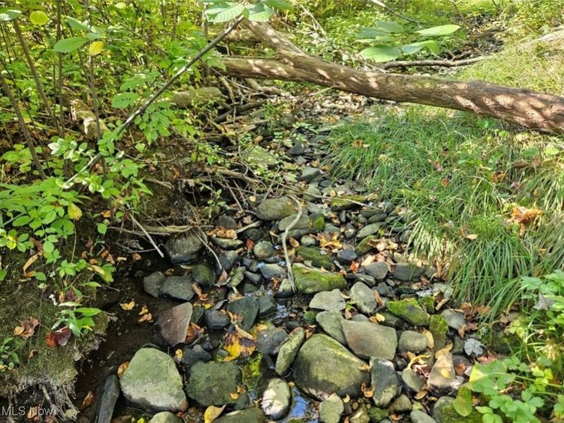 14700 Rock Creek Road, Chardon, OH 44024 Photo 3