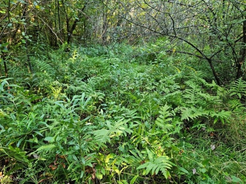 14700 Rock Creek Road, Chardon, OH 44024 Photo 4