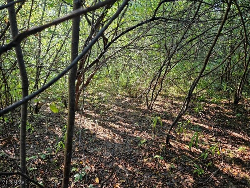 14700 Rock Creek Road, Chardon, OH 44024 Photo 7