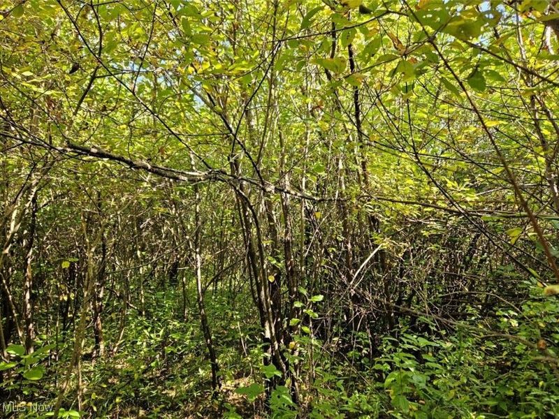 14700 Rock Creek Road, Chardon, OH 44024 Photo 8