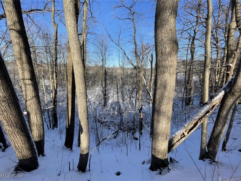 14700 Rock Creek Road, Chardon, OH 44024 Photo 9