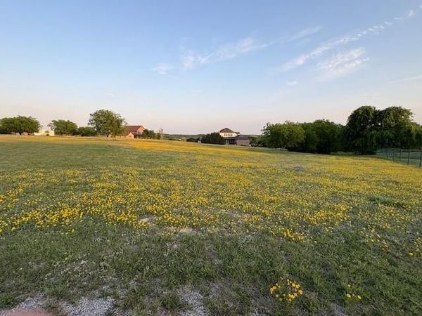 217 Pebble Ridge Court, Cresson, TX 76035