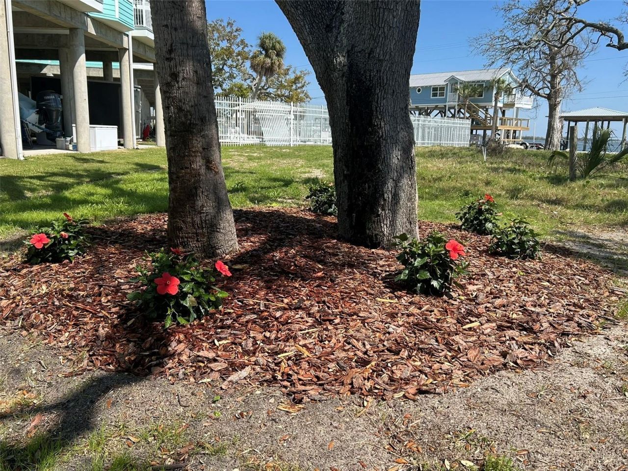 502 Main Street, Unit 112, Horseshoe Beach, FL 32648 Photo