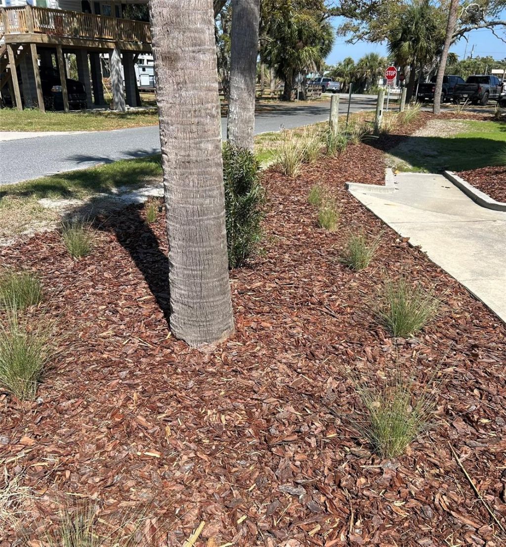 502 Main Street, Unit 112, Horseshoe Beach, FL 32648 Photo