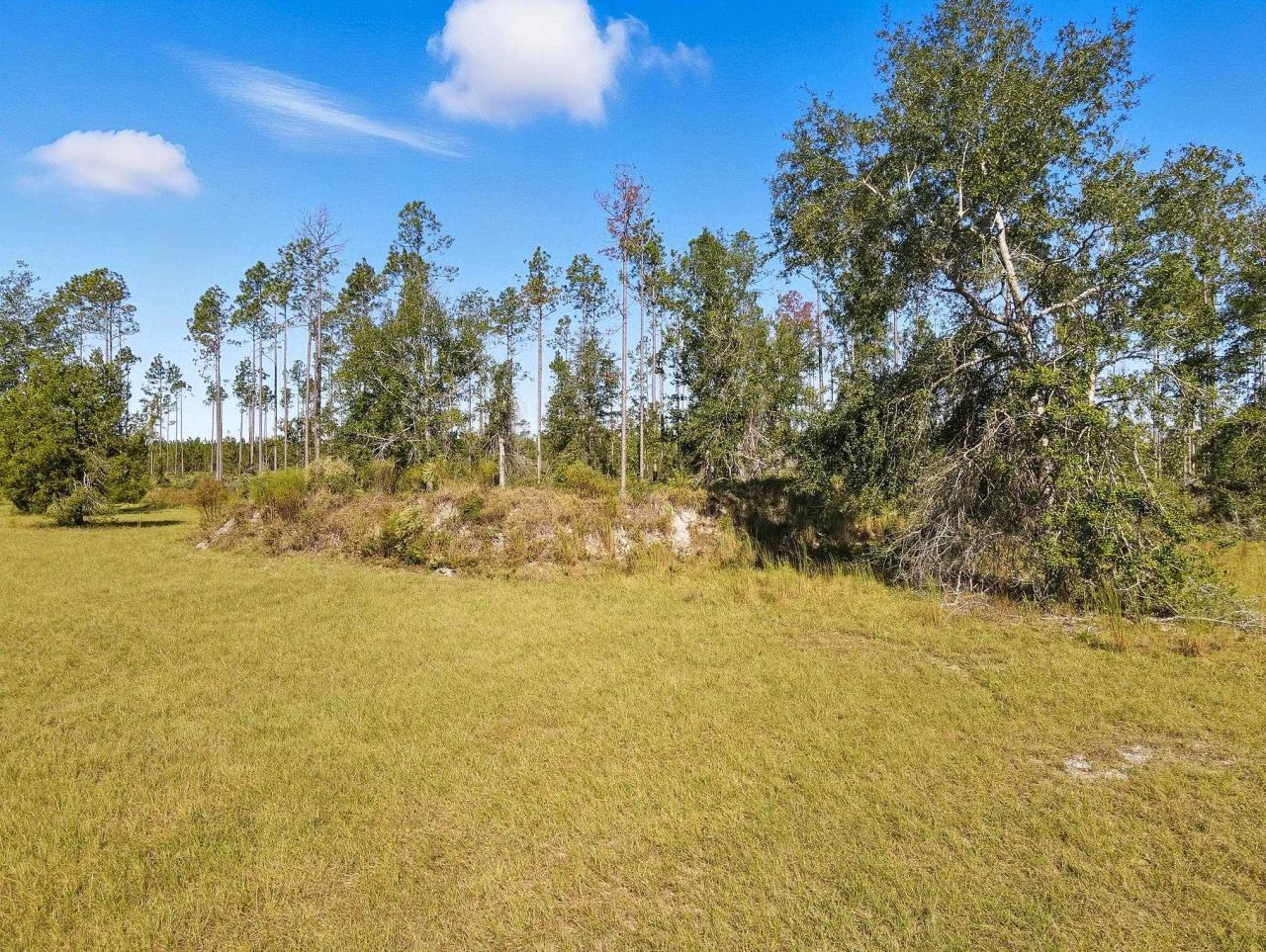 641 SE Sequoyah Trail, Lee, FL 32059 Photo