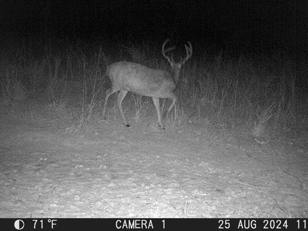 1722 Park Road, Holladay, TN 38341