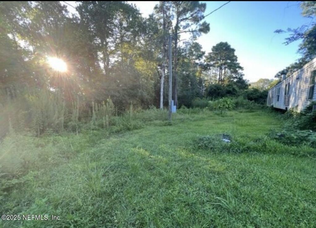 8769 Vining Street, Jacksonville, FL 32210 Main Photo