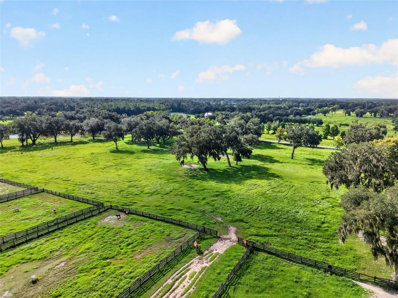 5540 SE 157th Street Road, Unit (Option 1), Summerfield, FL 34491 Photo