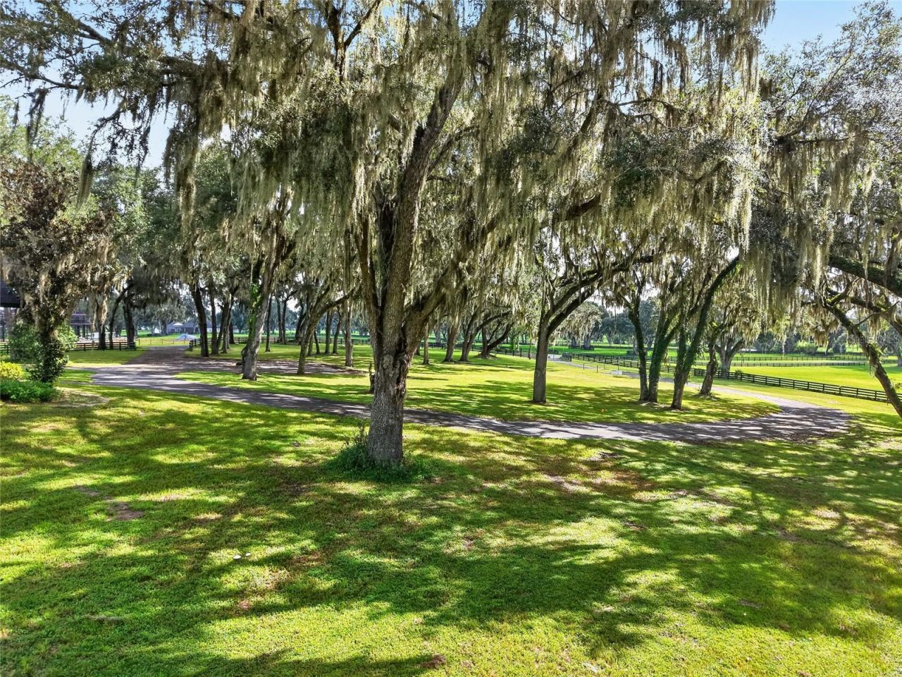 5540 SE 157th Street Road, Unit (Option 1), Summerfield, FL 34491 Photo