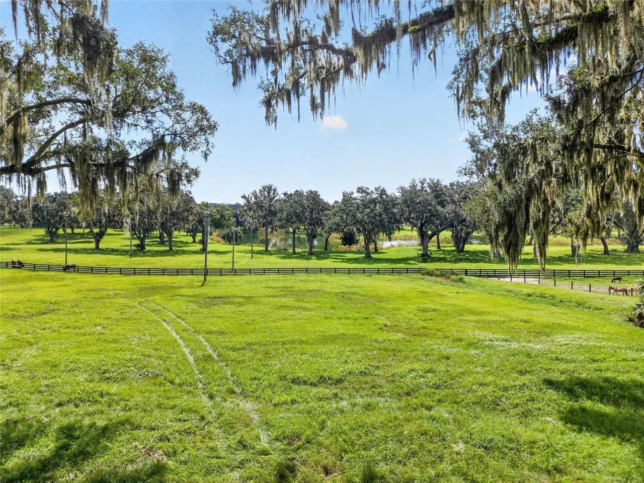 5540 SE 157th Street Road, Unit (Option 1), Summerfield, FL 34491 Photo