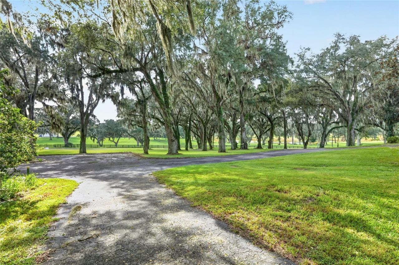 5540 SE 157th Street Road, Unit (Option 1), Summerfield, FL 34491 Photo