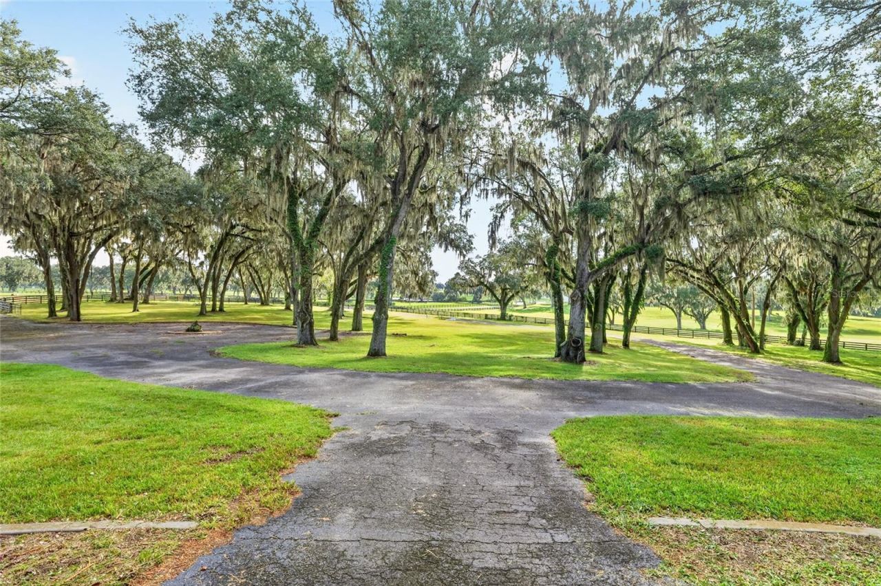 5540 SE 157th Street Road, Unit (Option 1), Summerfield, FL 34491 Photo