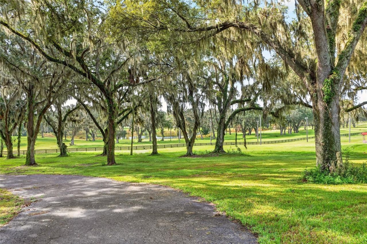 5540 SE 157th Street Road, Unit (Option 1), Summerfield, FL 34491 Photo
