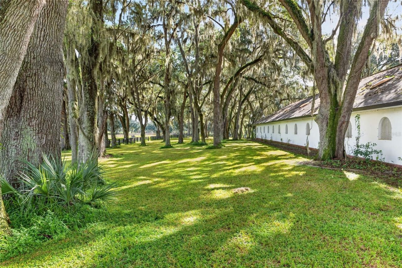 5540 SE 157th Street Road, Unit (Option 1), Summerfield, FL 34491 Photo