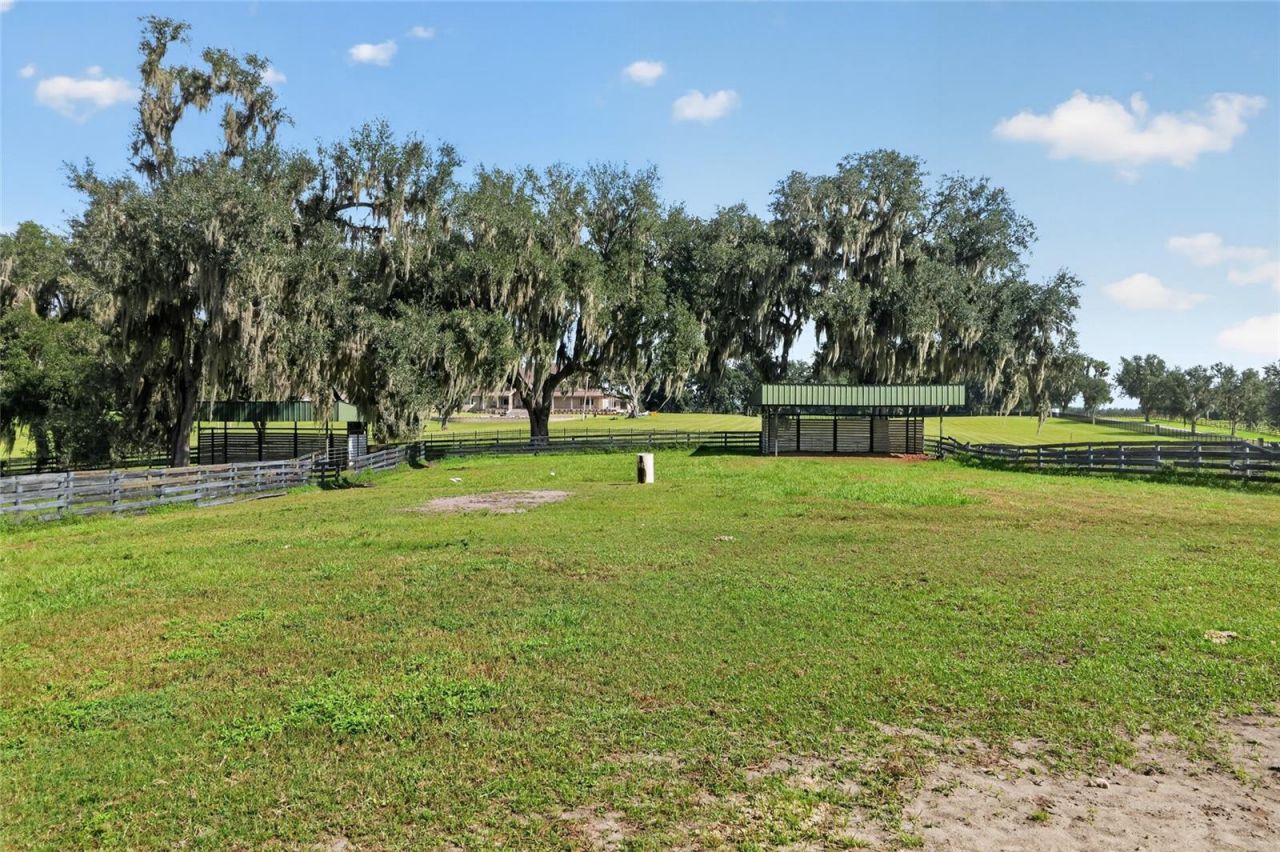 5540 SE 157th Street Road, Unit (Option 1), Summerfield, FL 34491 Photo