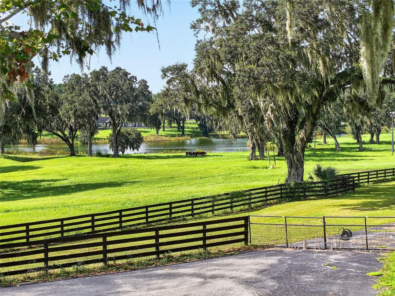 5540 SE 157th Street Road, Unit (Option 1), Summerfield, FL 34491 Photo