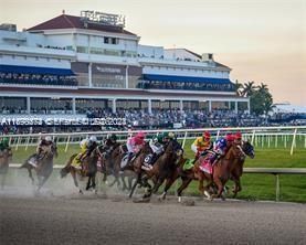 215 SE 3rd Ave, Unit 107A, Hallandale Beach, FL 33009 Photo