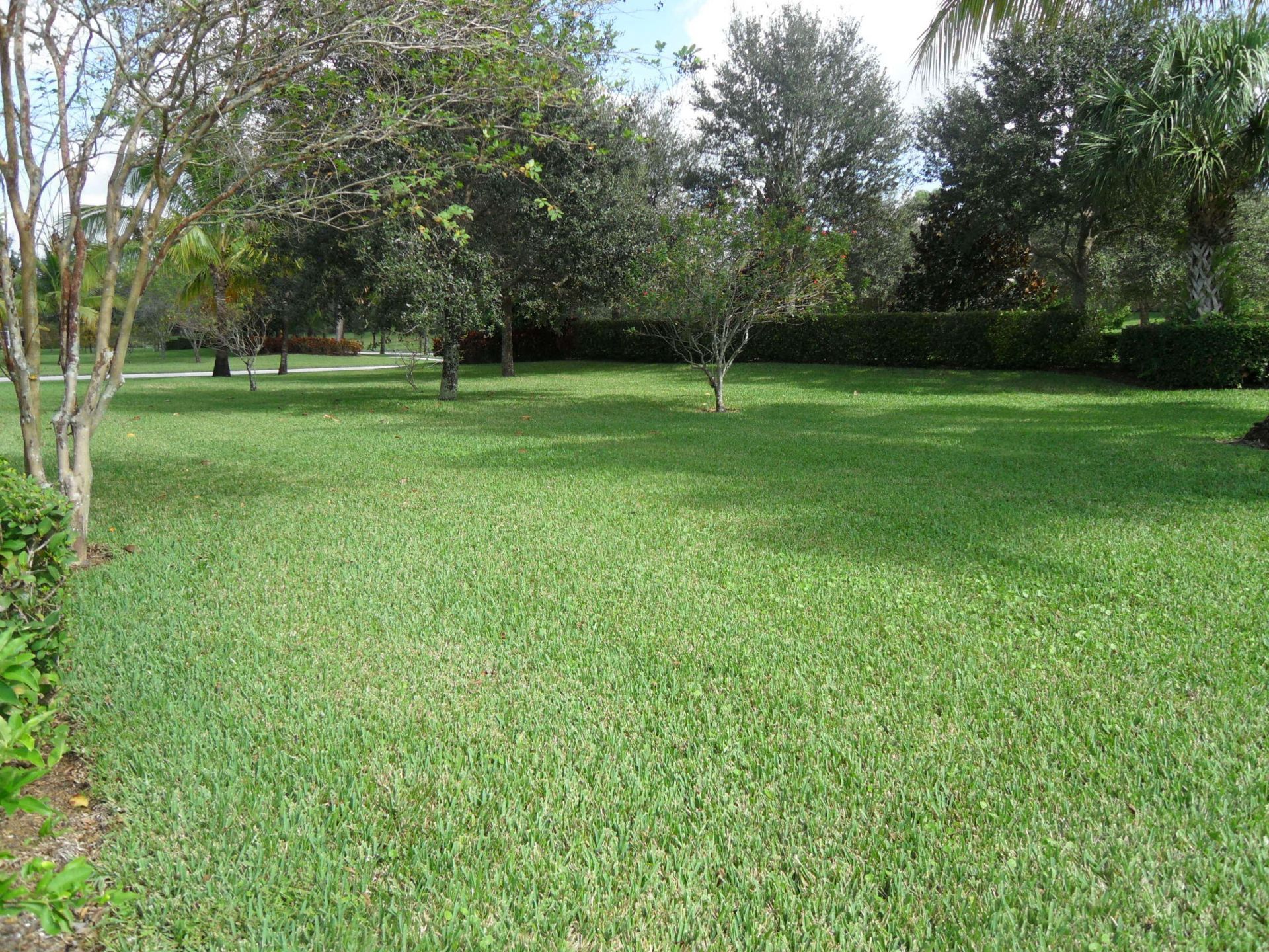 8158 Rosalie Lane, Wellington, FL 33414 Photo