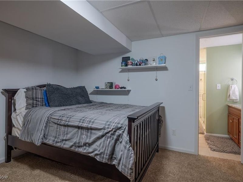 4133 Lace Road NW, Malvern, OH 44644 Photo 19