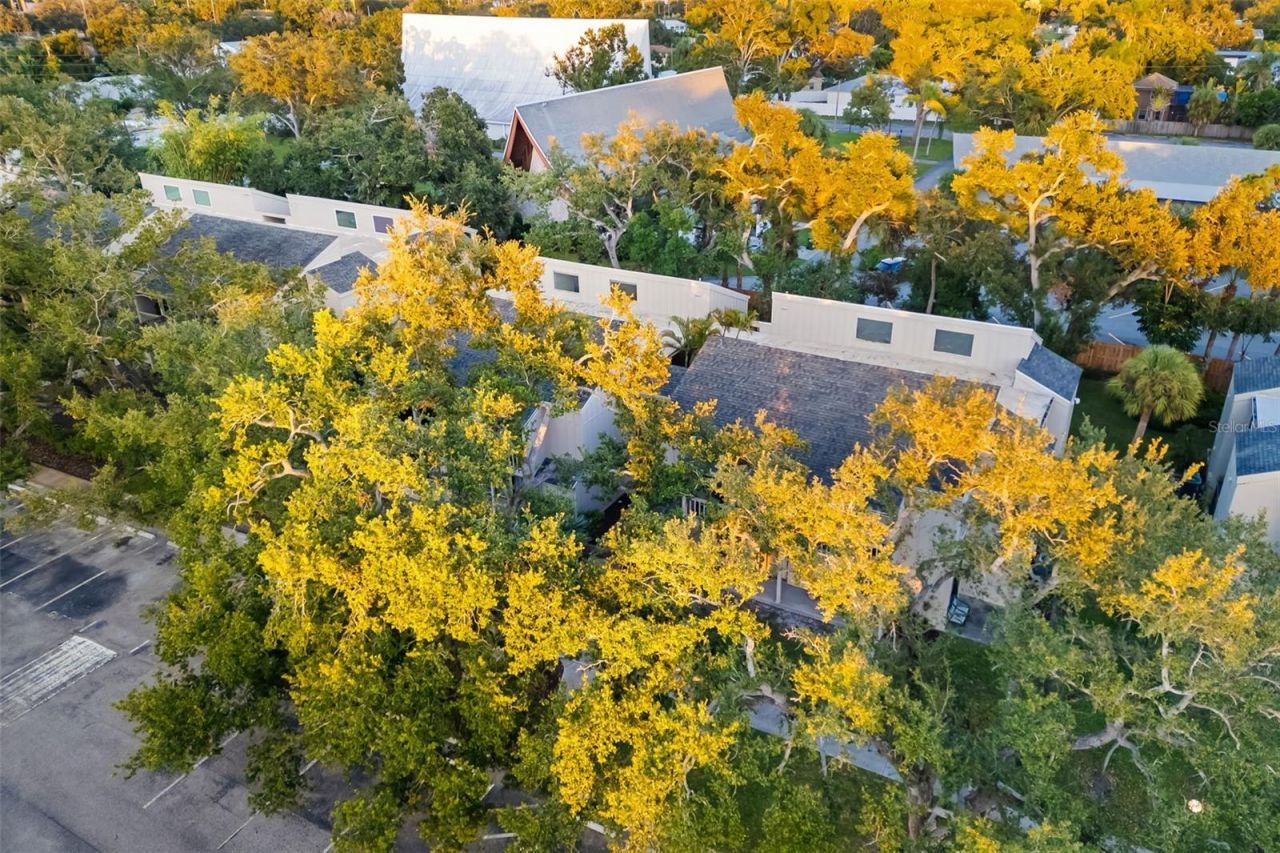 2224 Bahia Vista Street, Unit E1, Sarasota, FL 34239 Photo