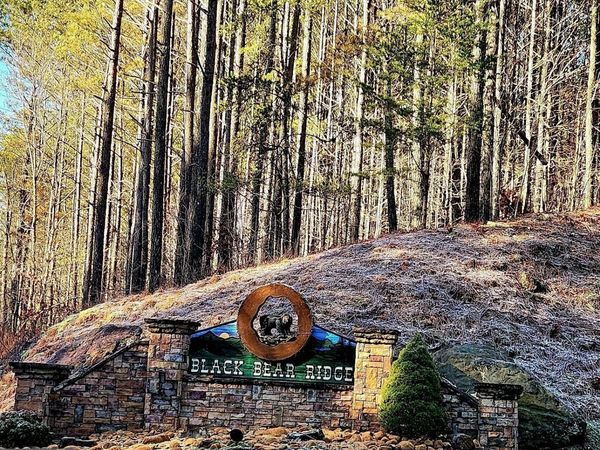 37 Black Bear Ridge Road, Ellijay, GA 30536