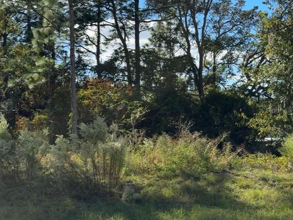 7800 N PRIMROSE DRIVE, CITRUS SPRINGS, FL 34434