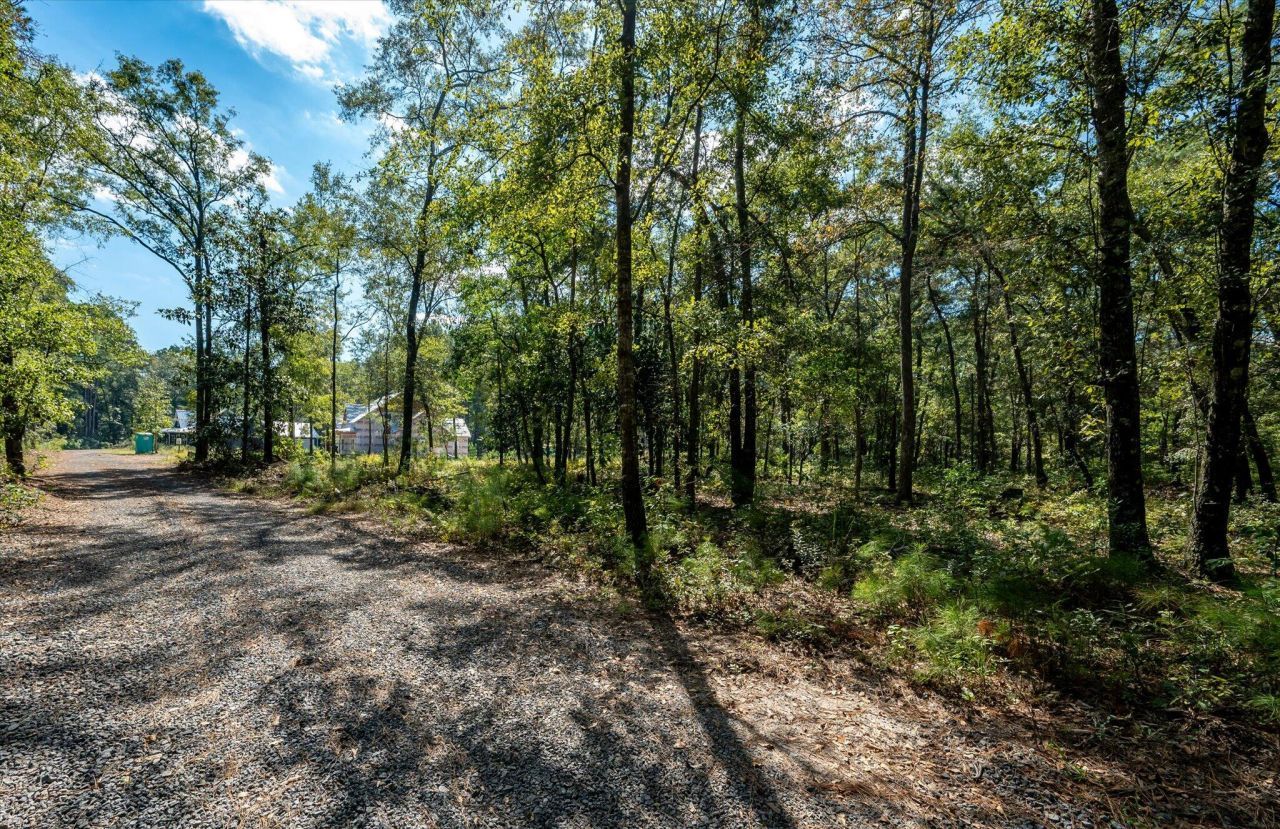 1020 Hidden Acres Path Photo 4