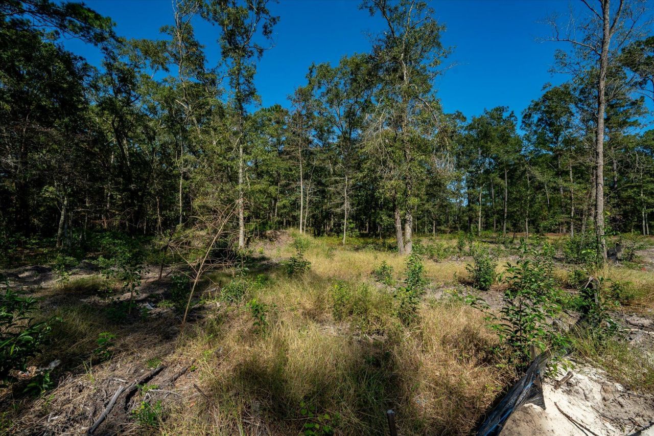 1020 Hidden Acres Path Photo 5