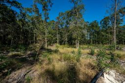 1020 Hidden Acres Path photo 4