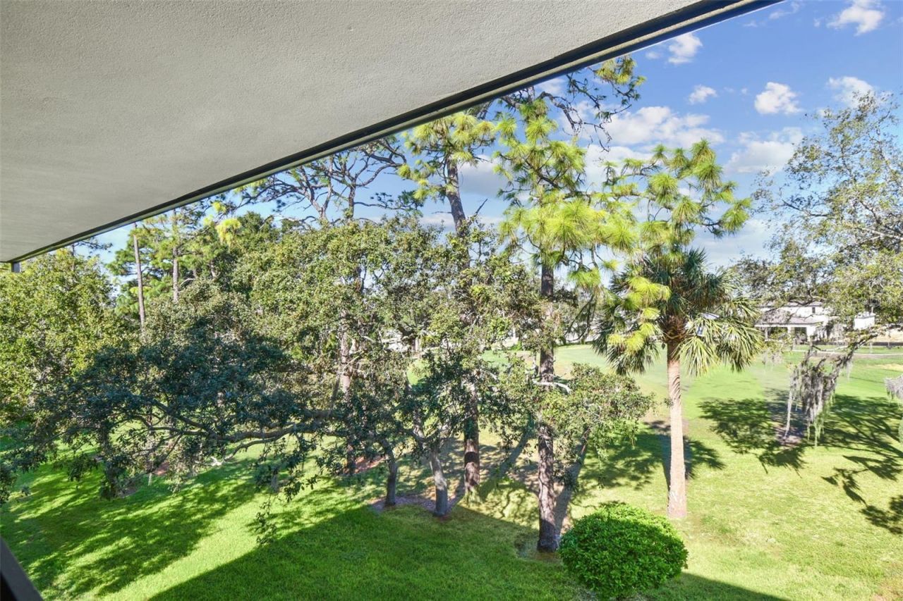 36750 Us Highway 19, Unit 26301, Palm Harbor, FL 34684 Photo