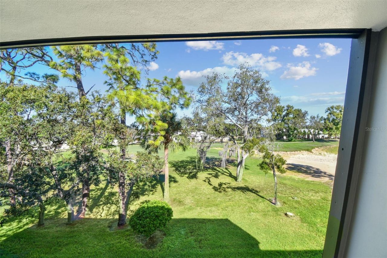 36750 Us Highway 19, Unit 26301, Palm Harbor, FL 34684 Photo